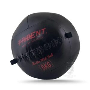 Trident Master Premium Wall Ball – 5kg