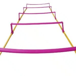 Trident Elevated Speed Ladder – 3m