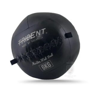 Trident Master Premium Wall Ball – 6kg