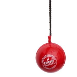 Flash Hanging Cricket Ball